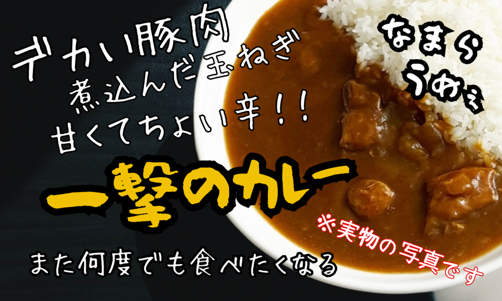 一撃のカレー2個セット - 画像 (2)